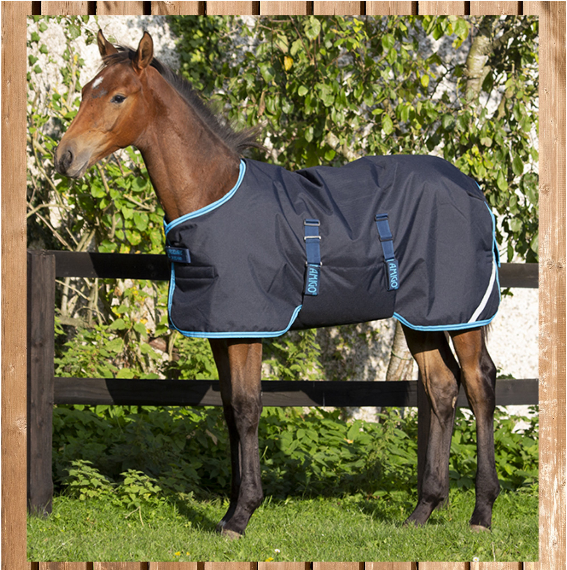 Horseware Amigo Foal Rug Ripstop 200g, navy/elect